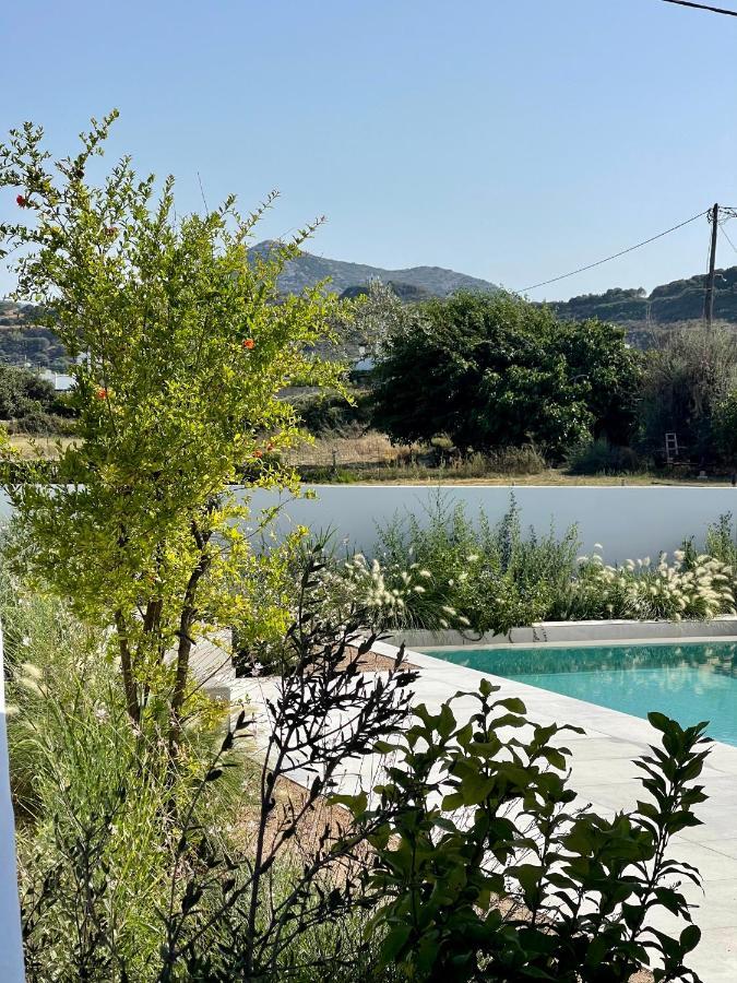 Casa Di Amerissa Premium Accommodation Skyros Esterno foto